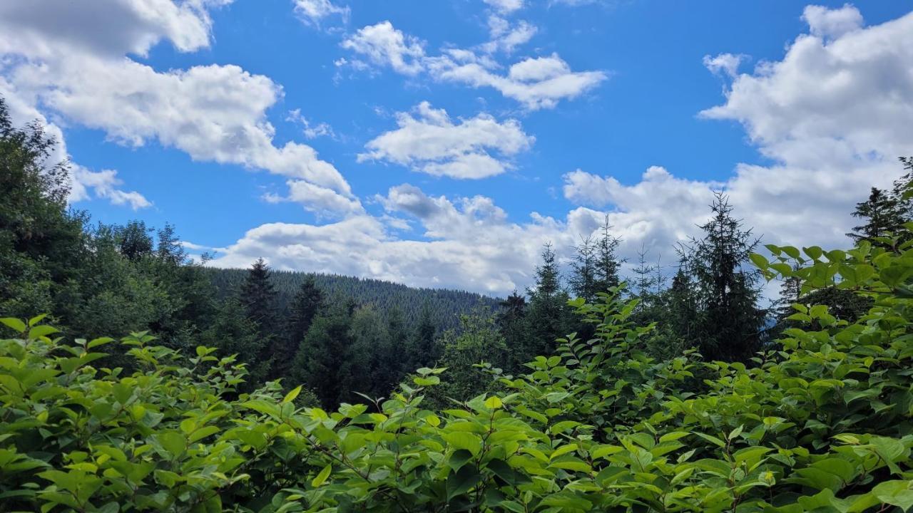Wohlfuehl-Ferienwohnung Mit Tiefgarage Im Gruenen Oberhof  Dış mekan fotoğraf