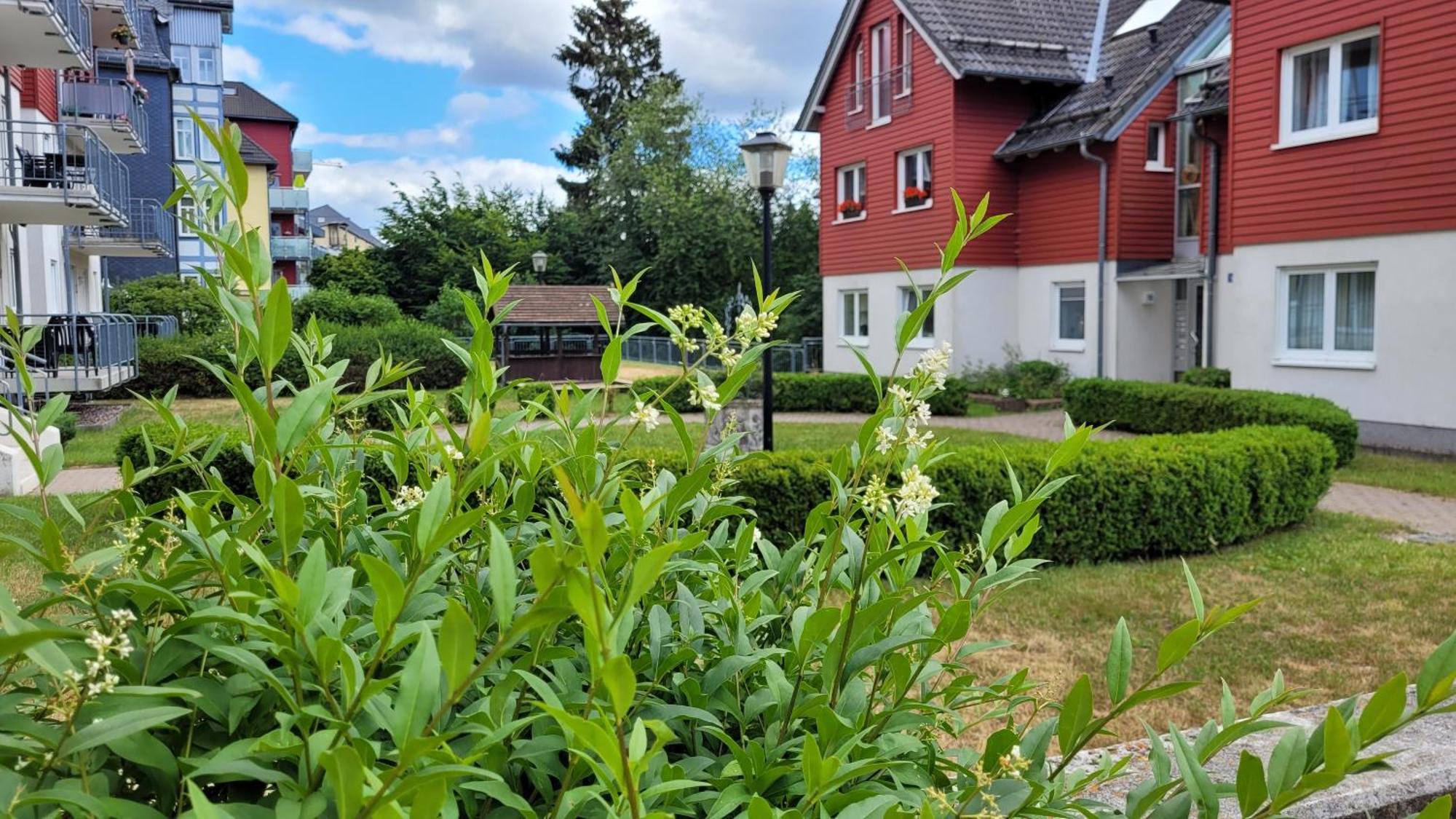Wohlfuehl-Ferienwohnung Mit Tiefgarage Im Gruenen Oberhof  Dış mekan fotoğraf